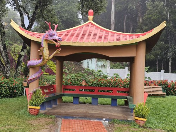 Dragos y palmeras en el Jardín de la Marquesa, una parada verde que ver en Arucas