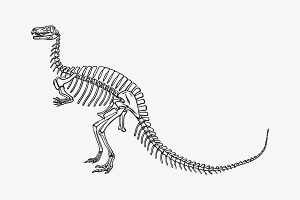 Fósiles y paleontología, parte de los museos que puedes ver en San Juan, Argentina