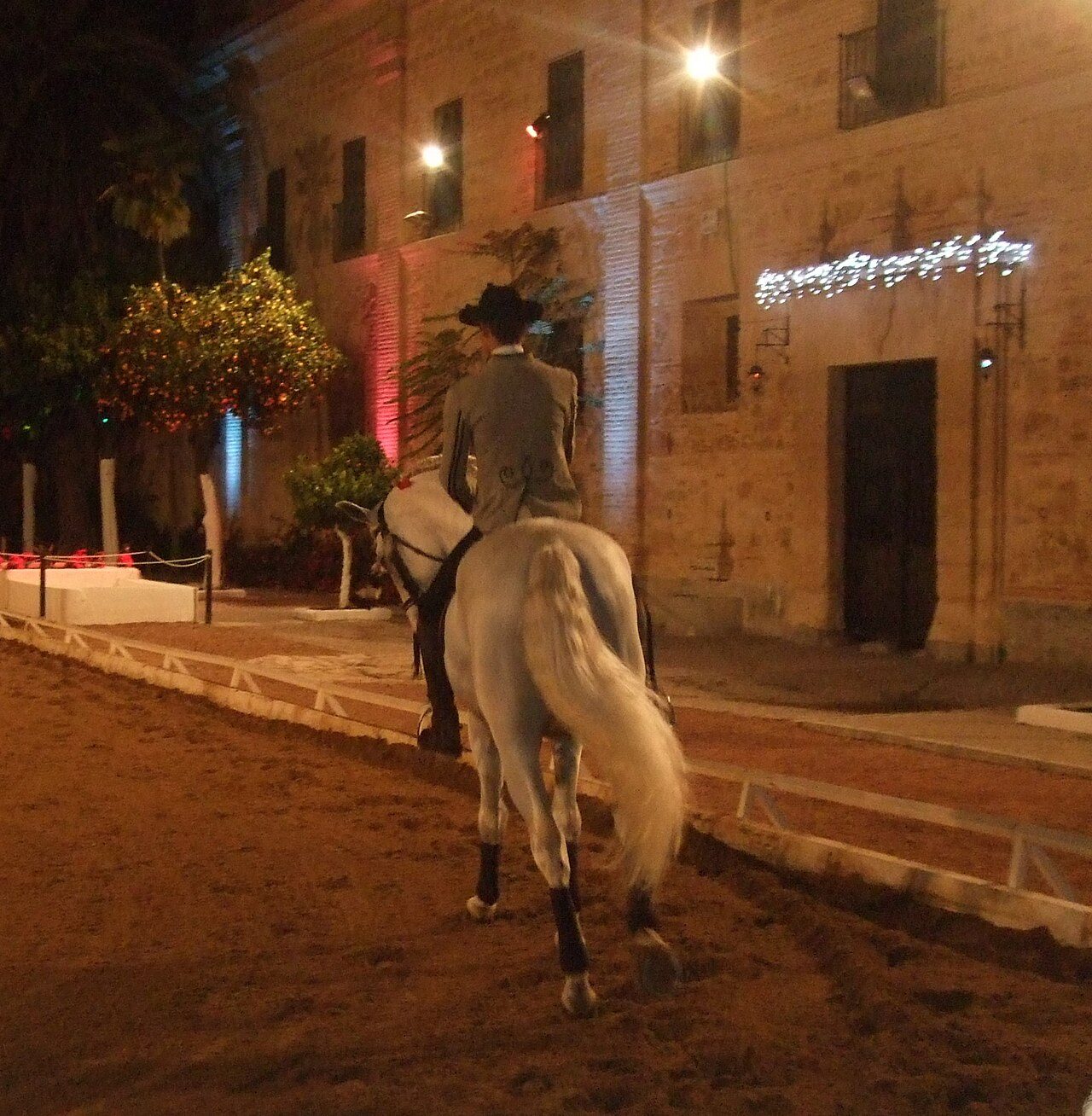 Espectáculos en Córdoba: una noche de flamenco en un patio de la Judería