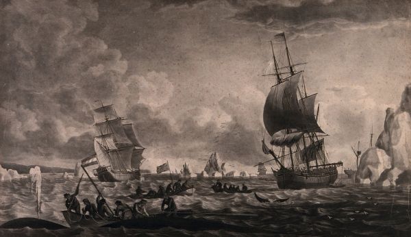 Cruceros y barcos en Tenerife navegando frente a los acantilados de Los Gigantes