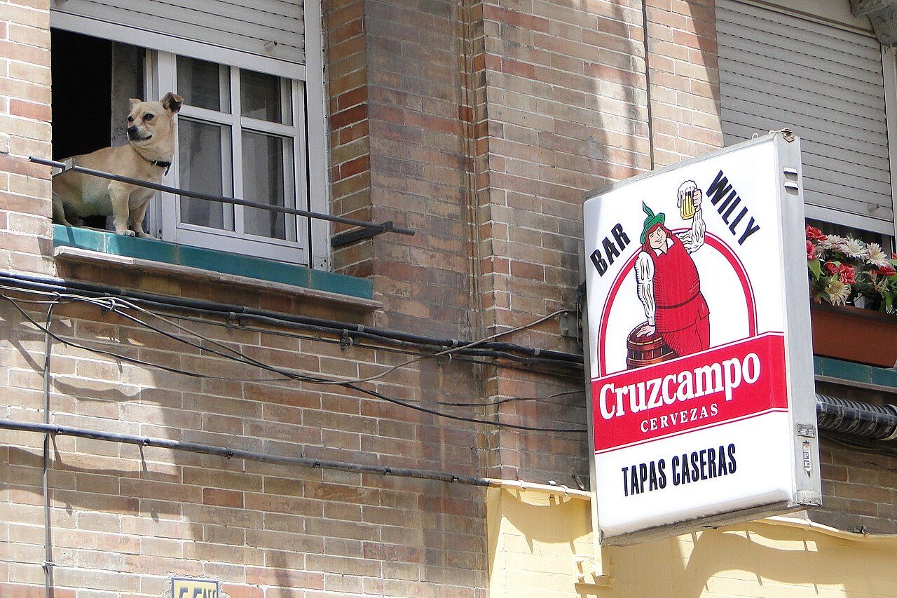 Ruta de tapas: la esencia de la gastronomía en Sevilla se vive en sus barras
