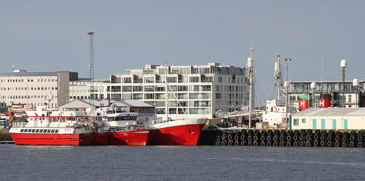 Cruceros y barcos en Reikiavik: avistamiento de ballenas saliendo del Old Harbour