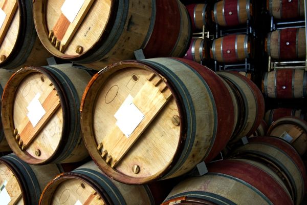 Cata en bodega, una de las mejores experiencias que ver en La Rioja