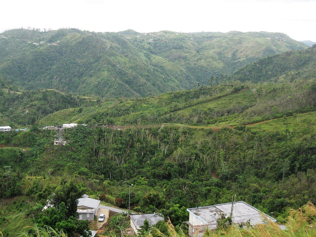 Qué ver en Orocovis