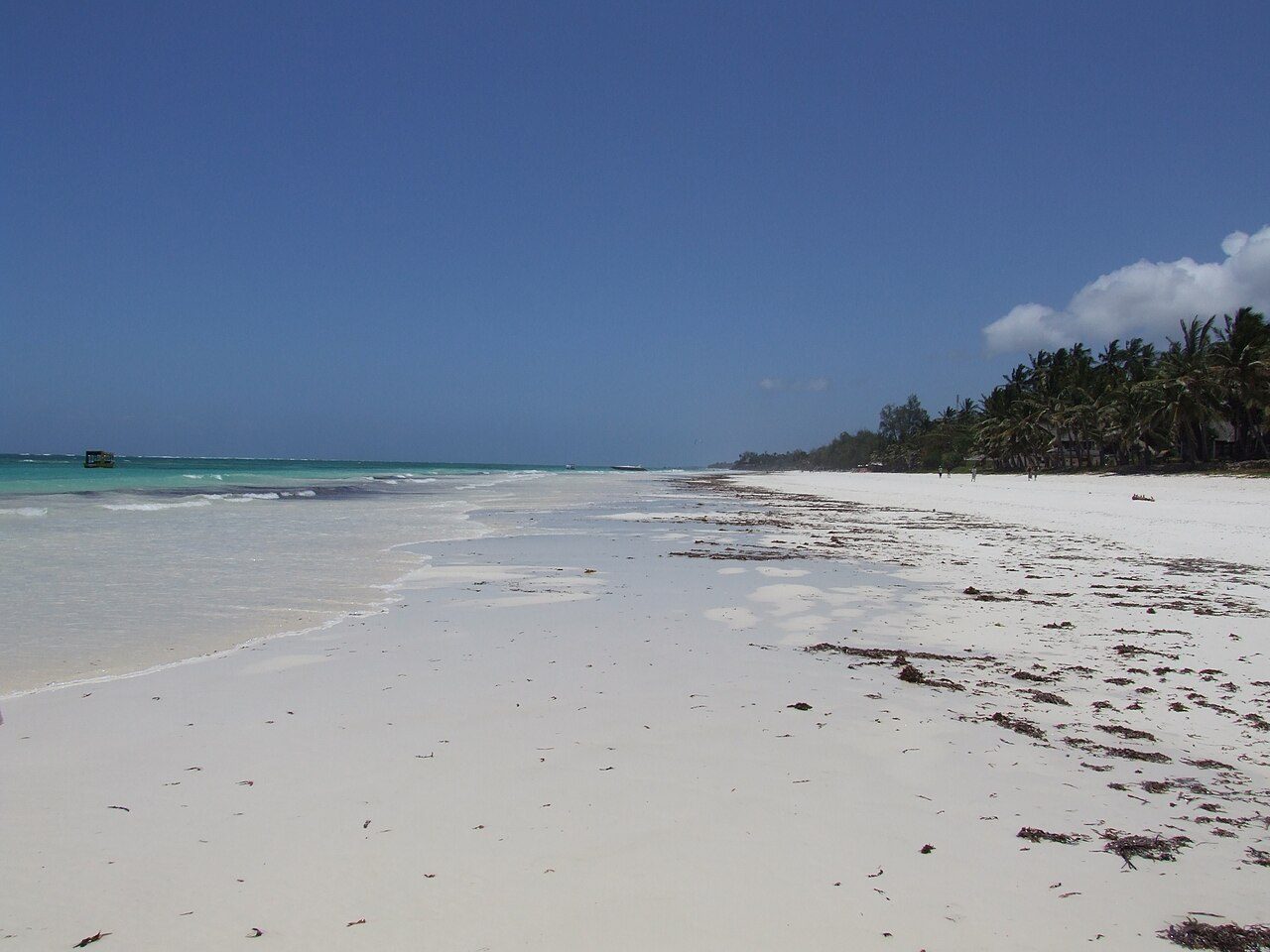 Qué ver en Diani