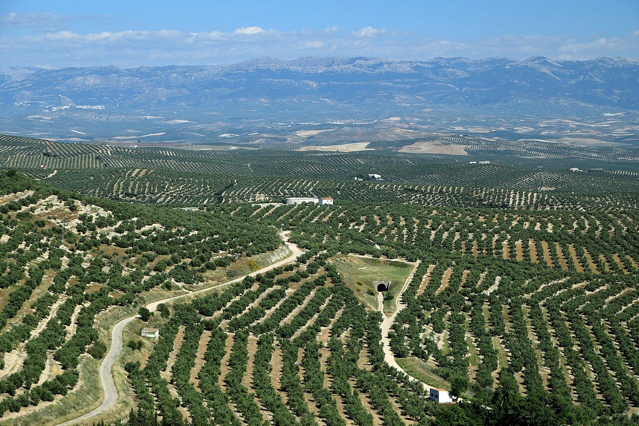 Qué ver en Provincia de Jaén