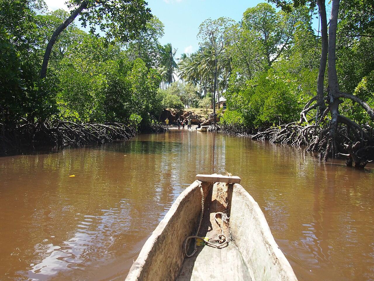 Qué ver en Watamu