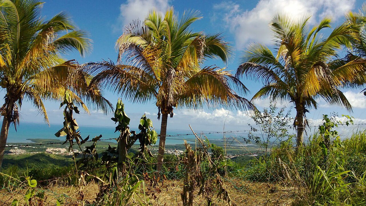 Qué ver en Ceiba