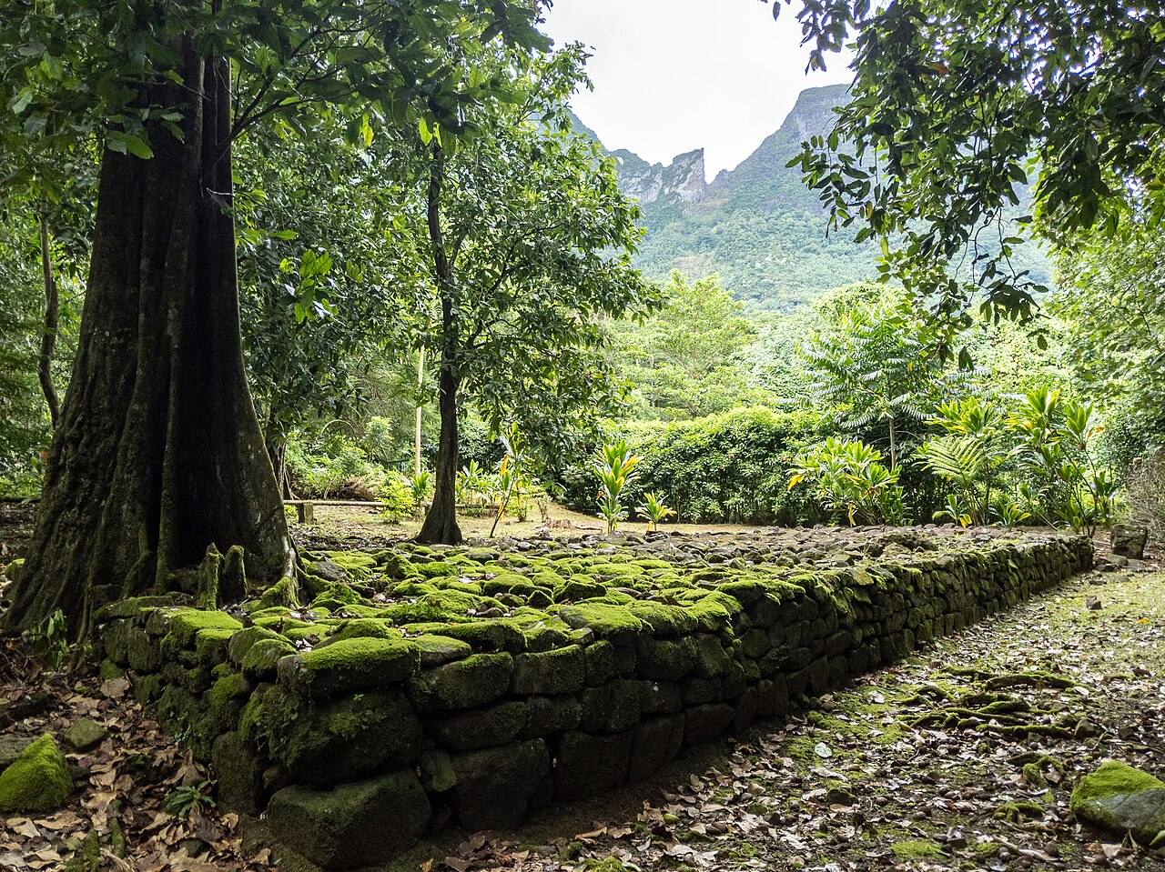 Qué ver en Moorea