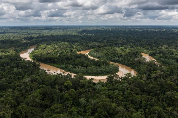 Los ríos de la selva son uno de los grandes atractivos de qué ver en Puerto Inca