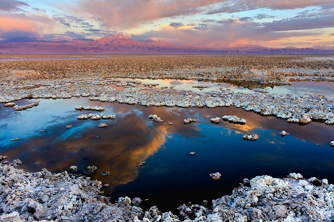Salares del Alto Loa, una de las excursiones de un día en Calama más impresionantes