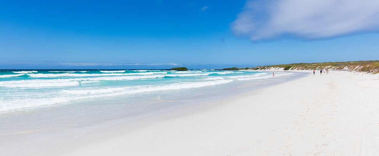 Qué ver en Isla Santa Cruz: la playa de arena blanca de Bahía Tortuga