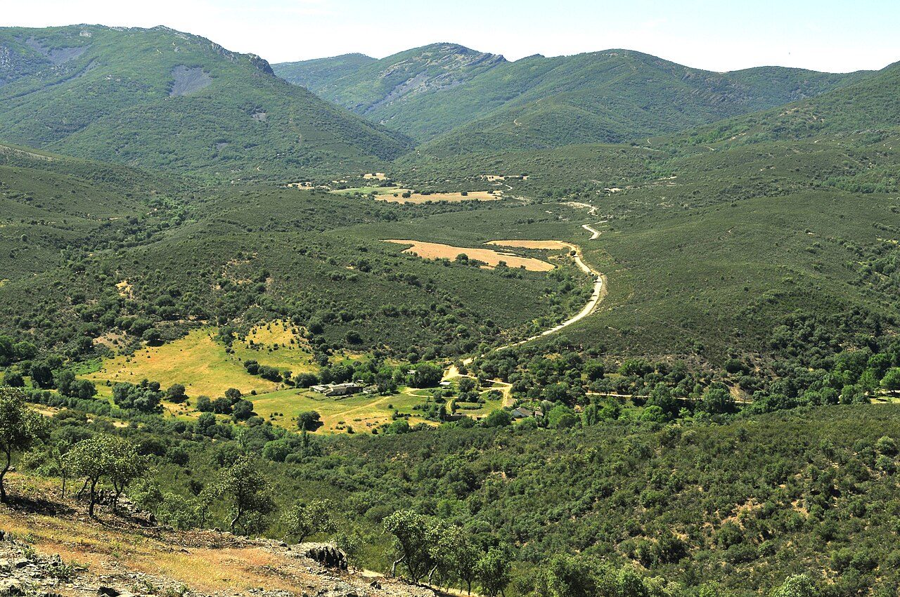El Parque Nacional de Cabañeros, protagonista de una de las mejores rutas por Ciudad Real