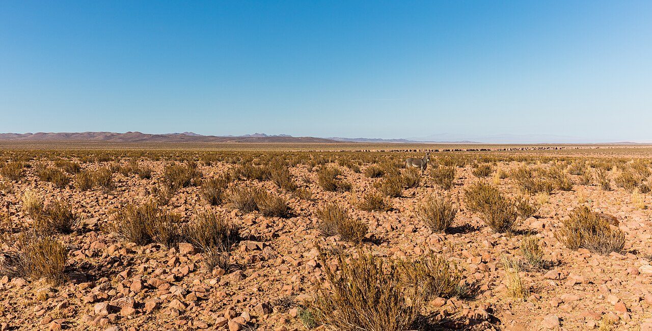 Vista del paisaje desértico en los alrededores de Calama, puerta de entrada a Atacama