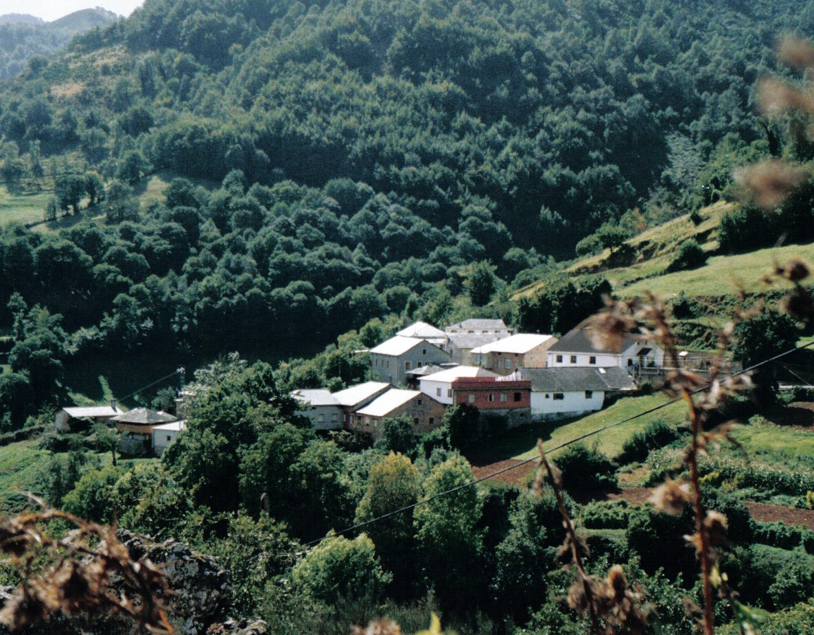 Panorámica del casco histórico, uno de los imprescindibles que ver en Cangas del Narcea