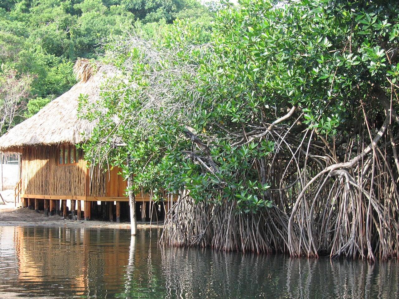 Las Lagunas de Chacahua, una de las excursiones cercanas más populares