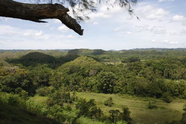 Las Chocolate Hills, el imprescindible que hay que ver sí o sí en Bohol