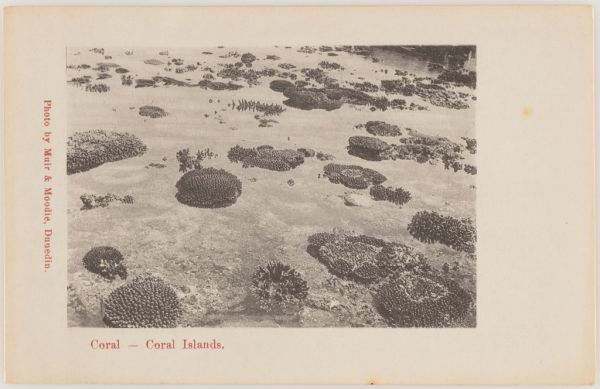 Excursiones de un día en Pattaya: playas de Coral Island a un paso en lancha rápida.