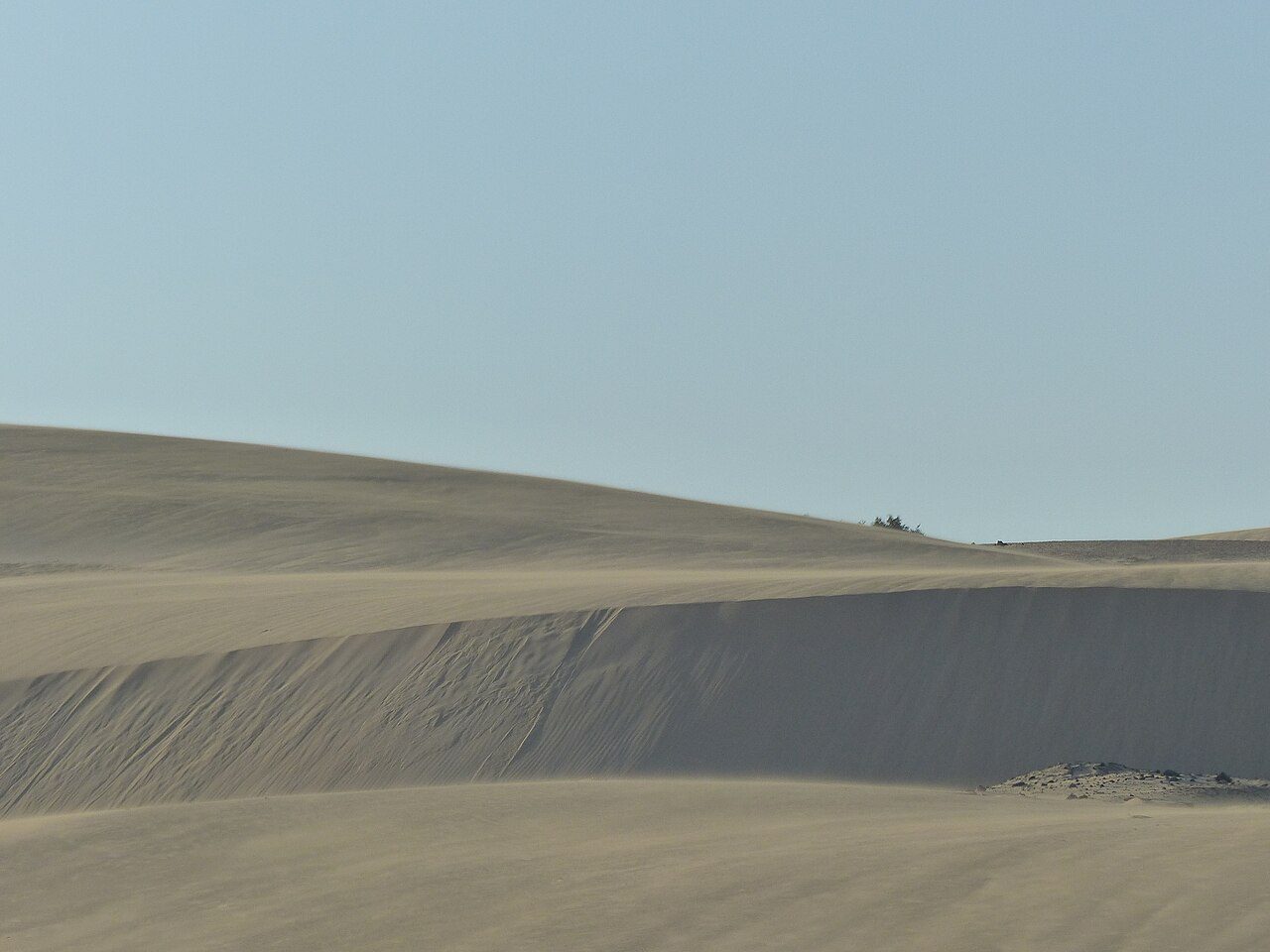 Las dunas del norte, una de las excursiones desde Puerto del Rosario