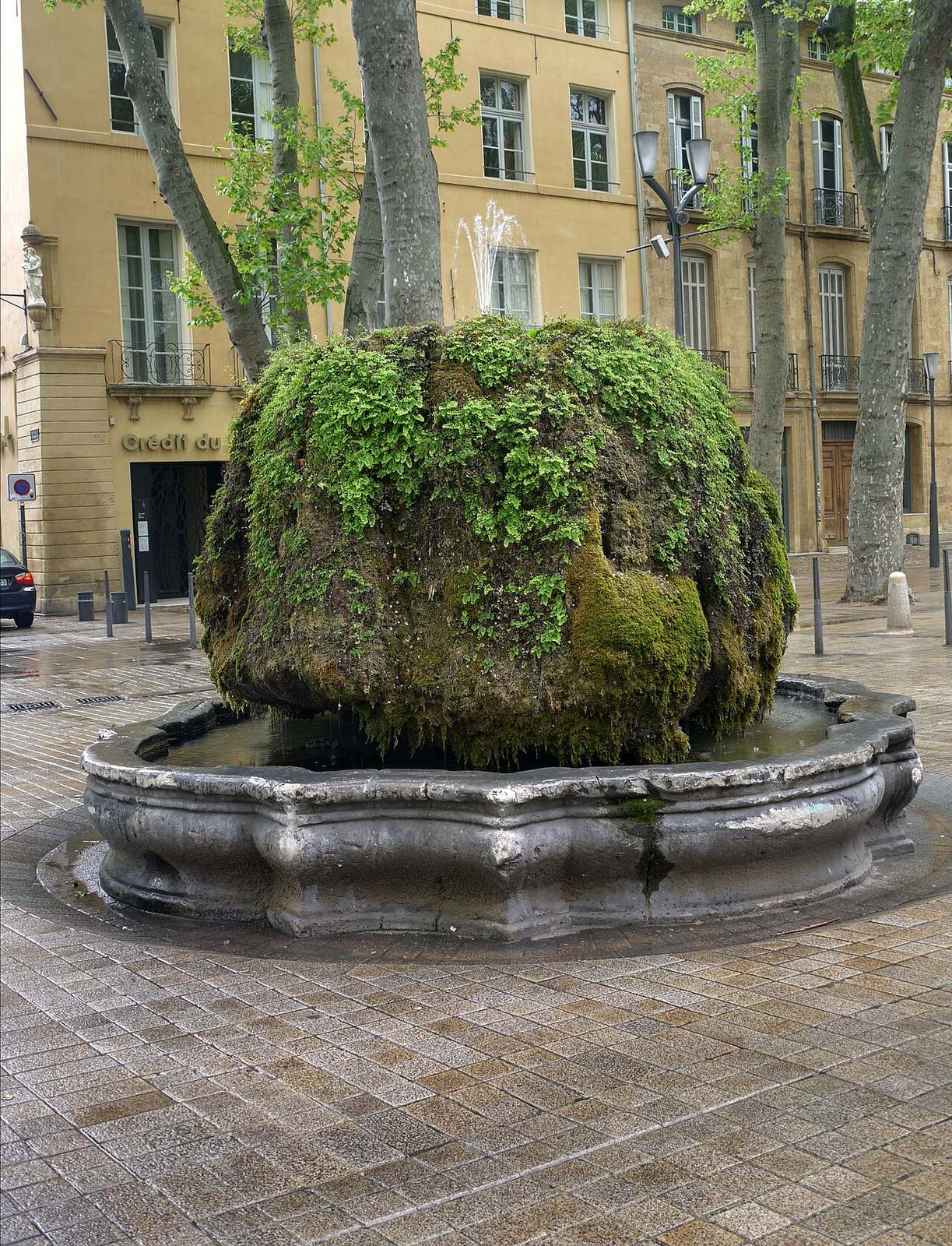 El Cours Mirabeau, la avenida más emblemática que ver en Aix-en-Provence