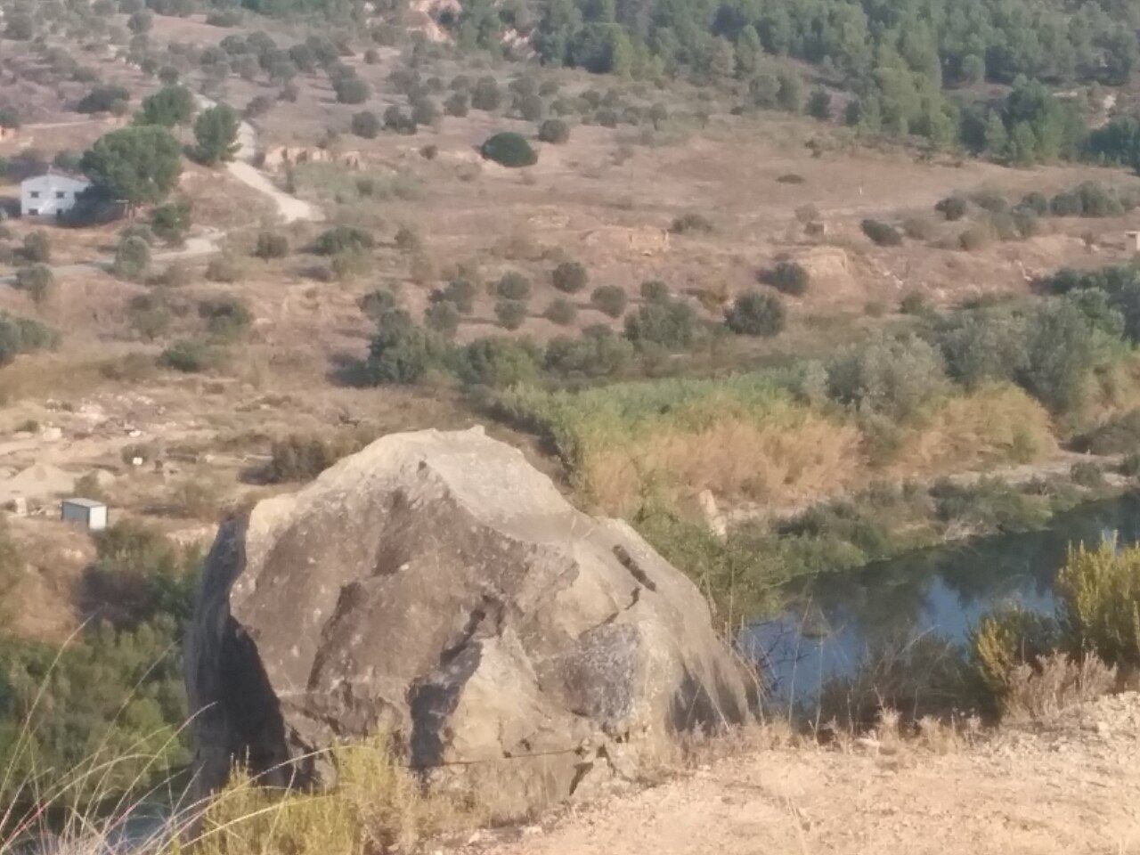 El río Ebro a su paso por la comarca, protagonista de qué ver en Mora La Nueva