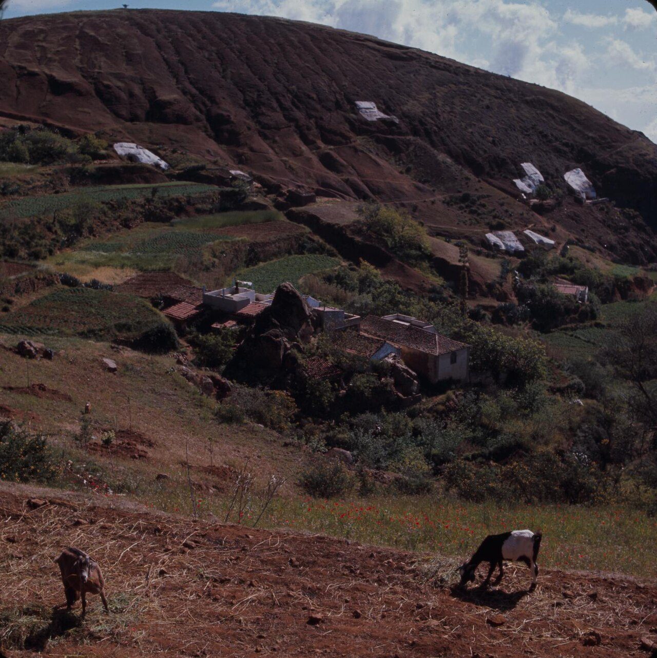 Los alrededores de Agüimes, con barrancos y naturaleza, completan lo que ver en la zona.