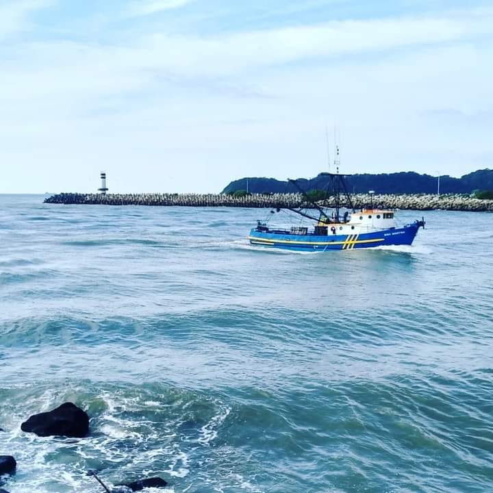 El puerto de Itajaí, uno de los grandes atractivos de qué ver en Itajaí