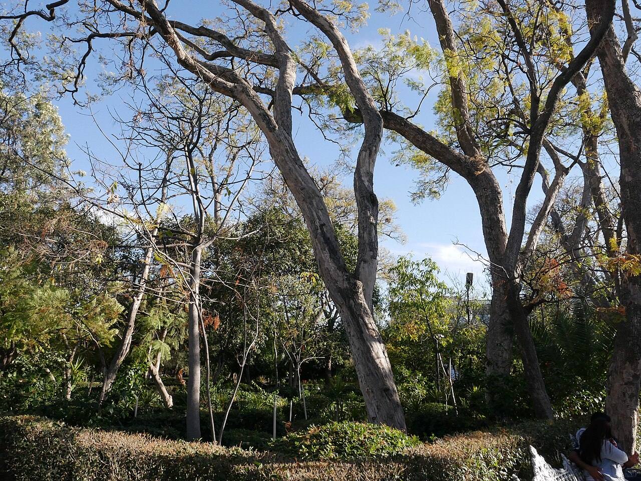 El Jardín de San Marcos, uno de los imprescindibles que ver en Aguascalientes.