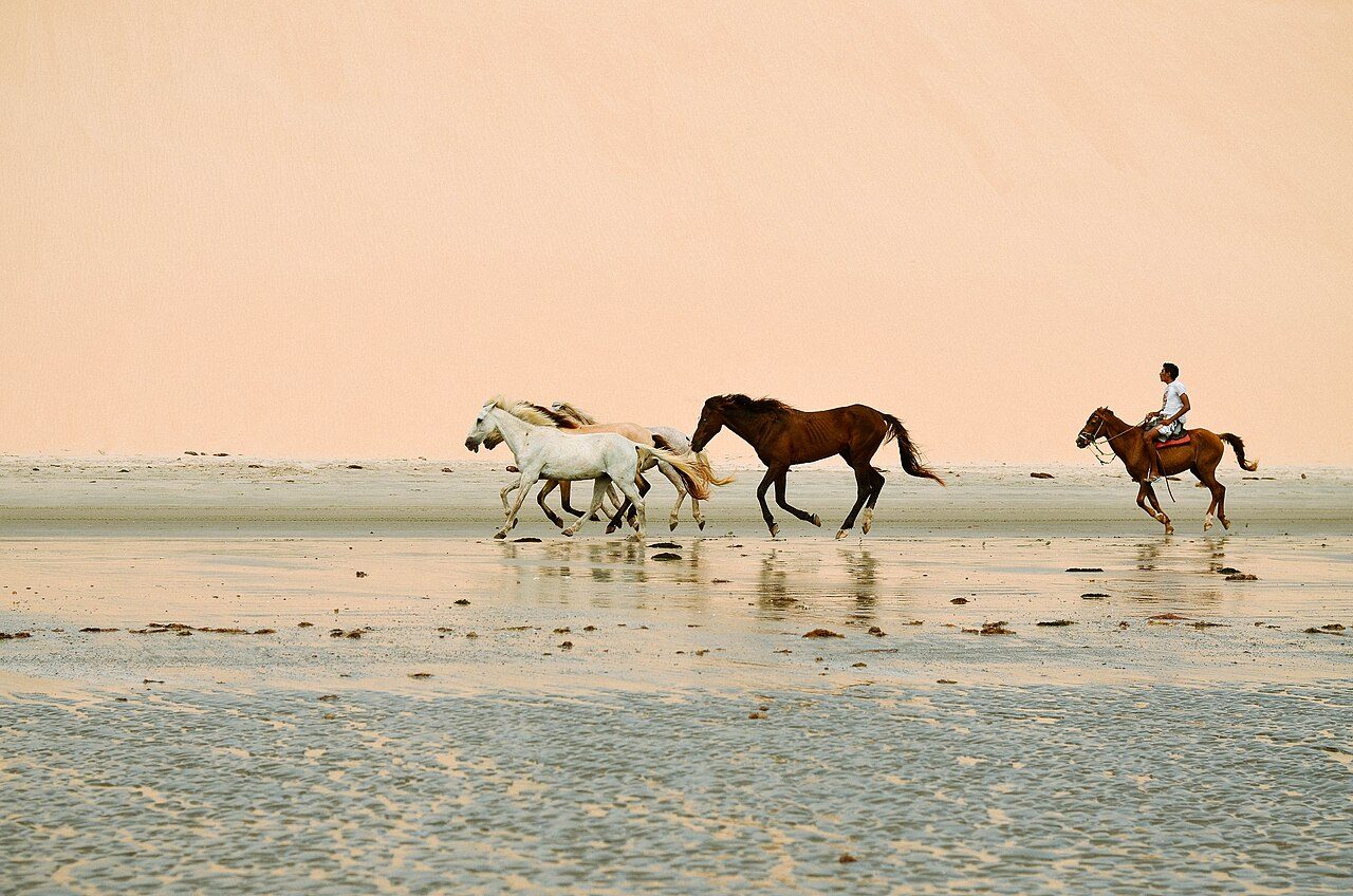 Dunas y lagunas en una de las excursiones de un día en Fortaleza más populares
