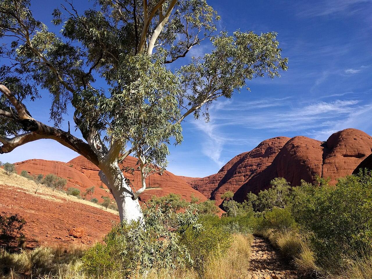 Las cúpulas de Kata Tjuta, parada clave en cualquier itinerario por Yulara