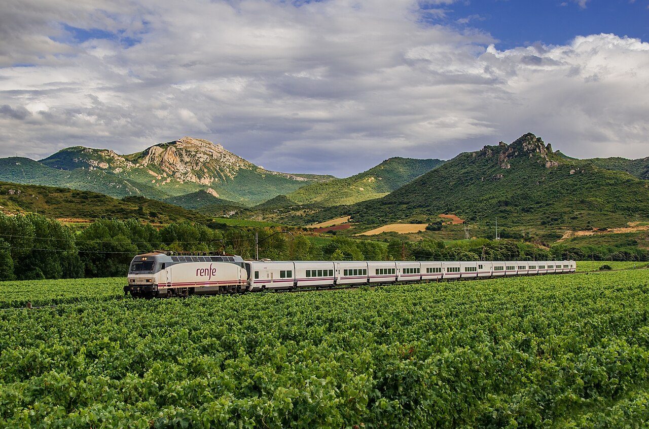 Viñedos de La Rioja que rodean Fuenmayor, uno de los grandes atractivos que ver en la zona