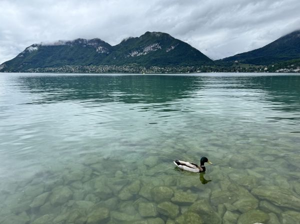 El lago de Annecy rodeado de montañas, imprescindible en tu visita