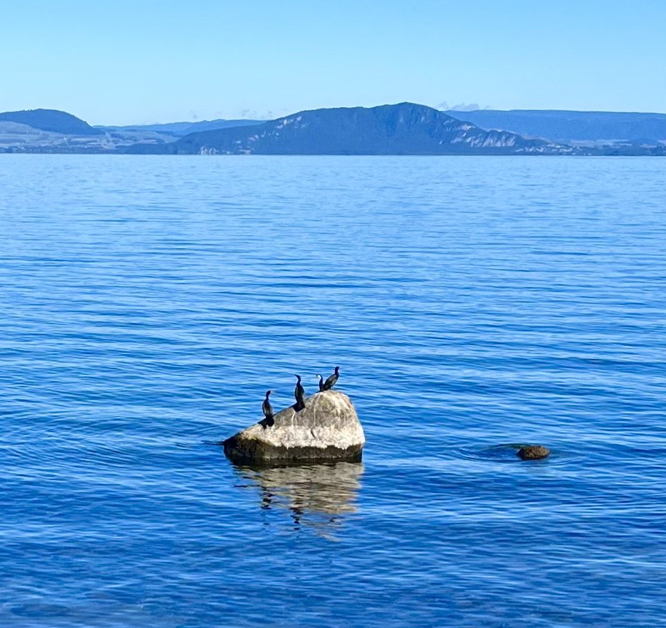 Vistas del lago Taupo, punto de partida para descubrir qué ver en Taupo