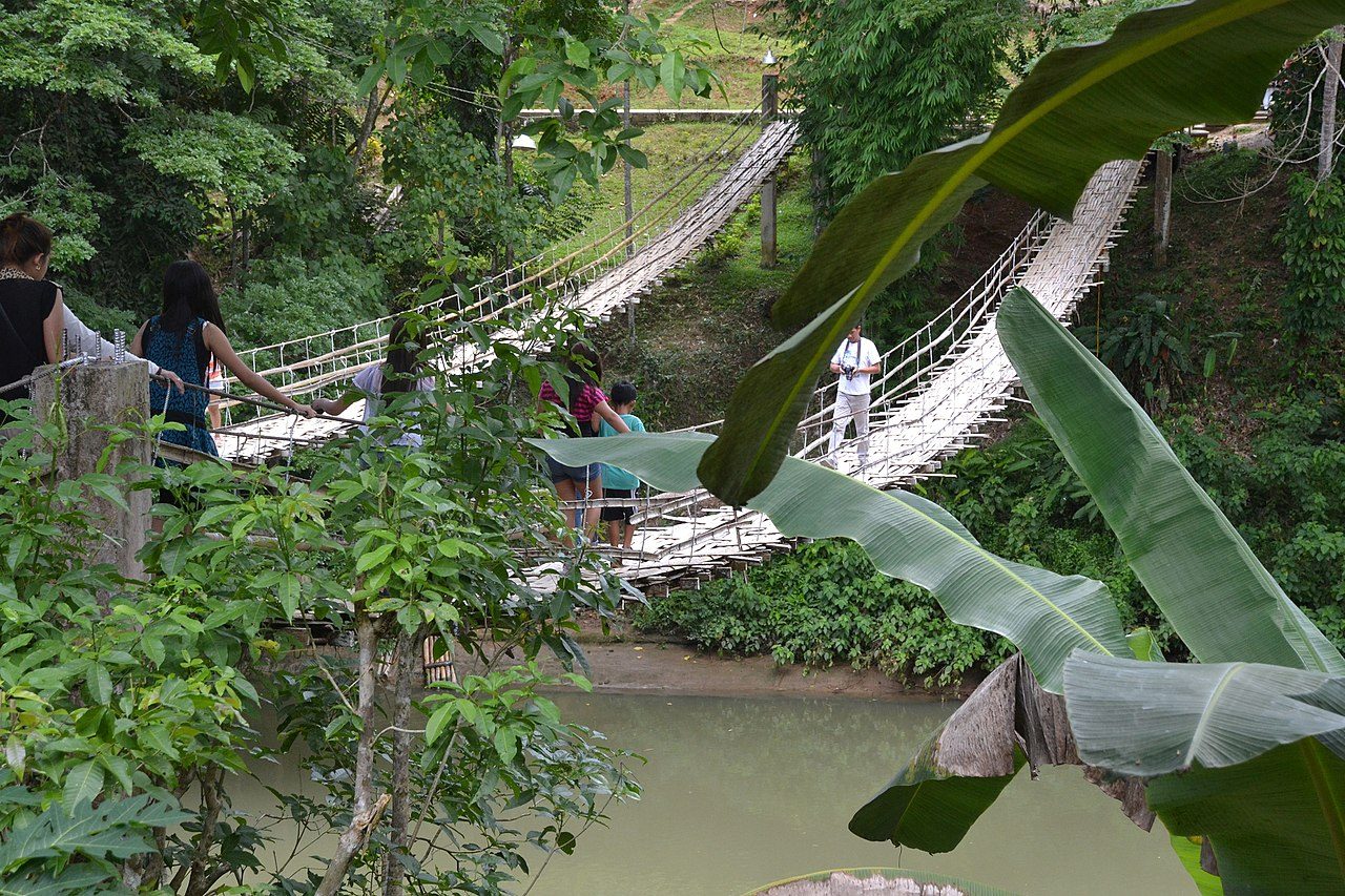 Cruceros y barcos en Bohol navegando por las aguas verdes del río Loboc
