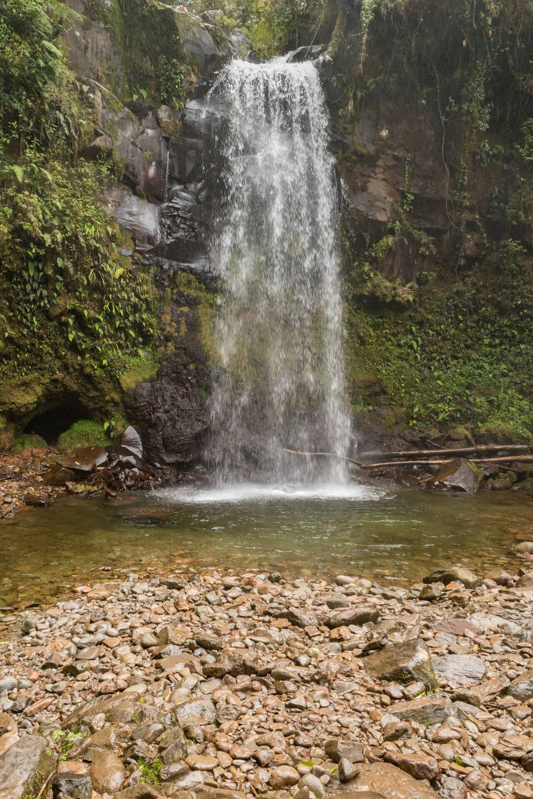 Las cascadas escondidas del bosque nuboso, imprescindibles que ver en Boquete