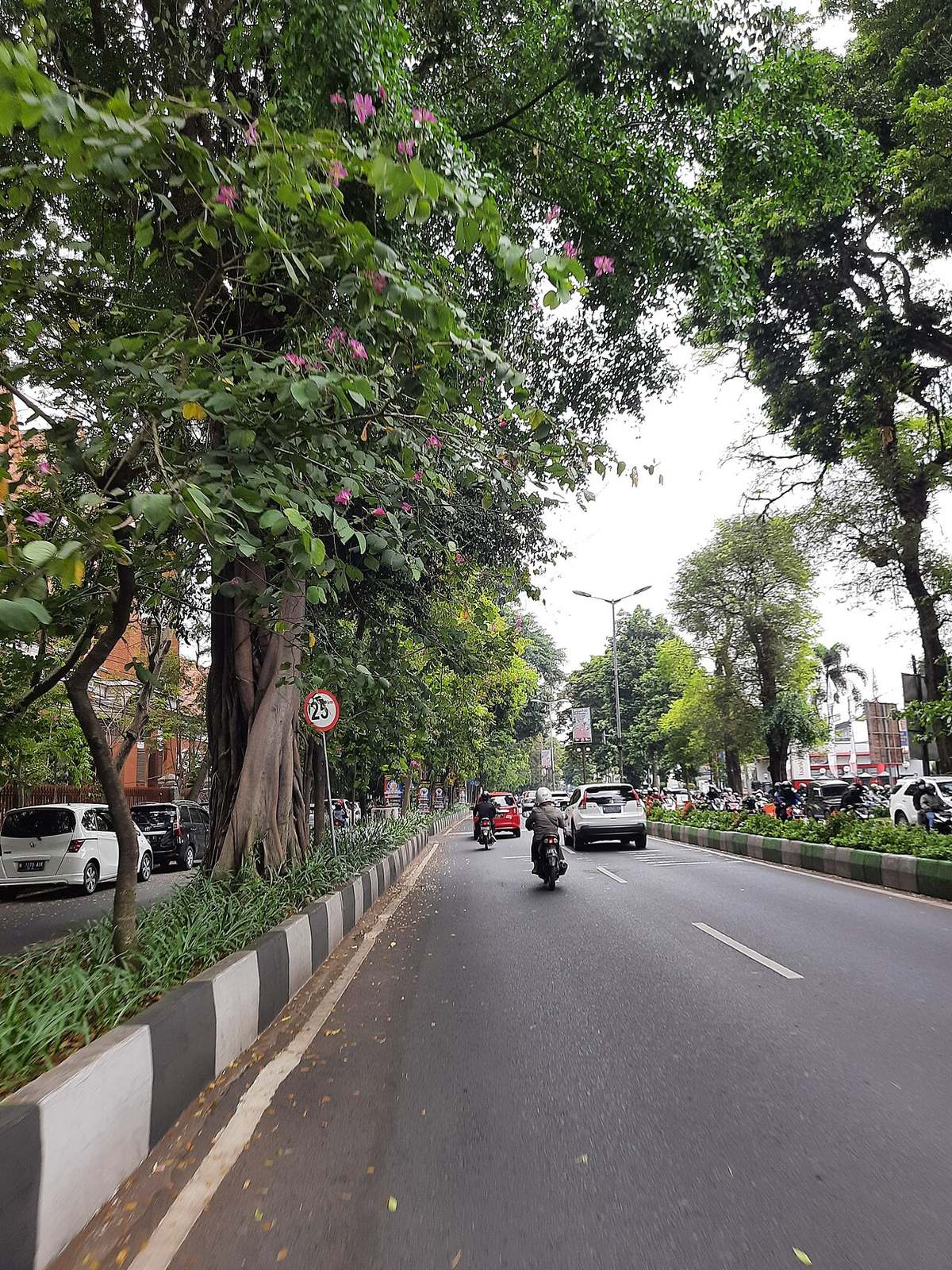 Llegar a Malang, la tranquila puerta de entrada a Java Oriental