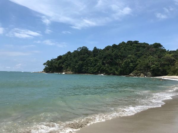 Playa y selva en una de las excursiones de un día en Jaco más populares: Manuel Antonio.