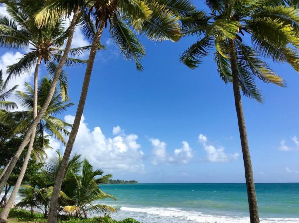 Las costas turquesas cercanas a Fort de France invitan a explorar Martinica