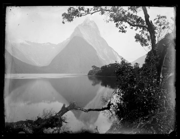 Milford Sound, el fiordo que da sentido a la pregunta de qué ver en Te Anau