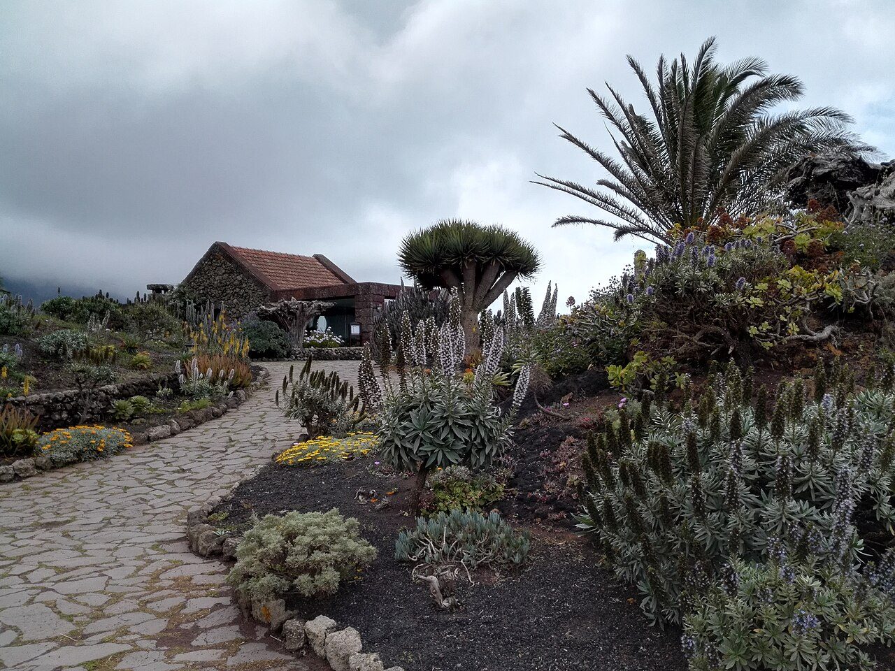 Panorámica del Valle del Golfo desde un mirador, una de las mejores vistas de El Hierro