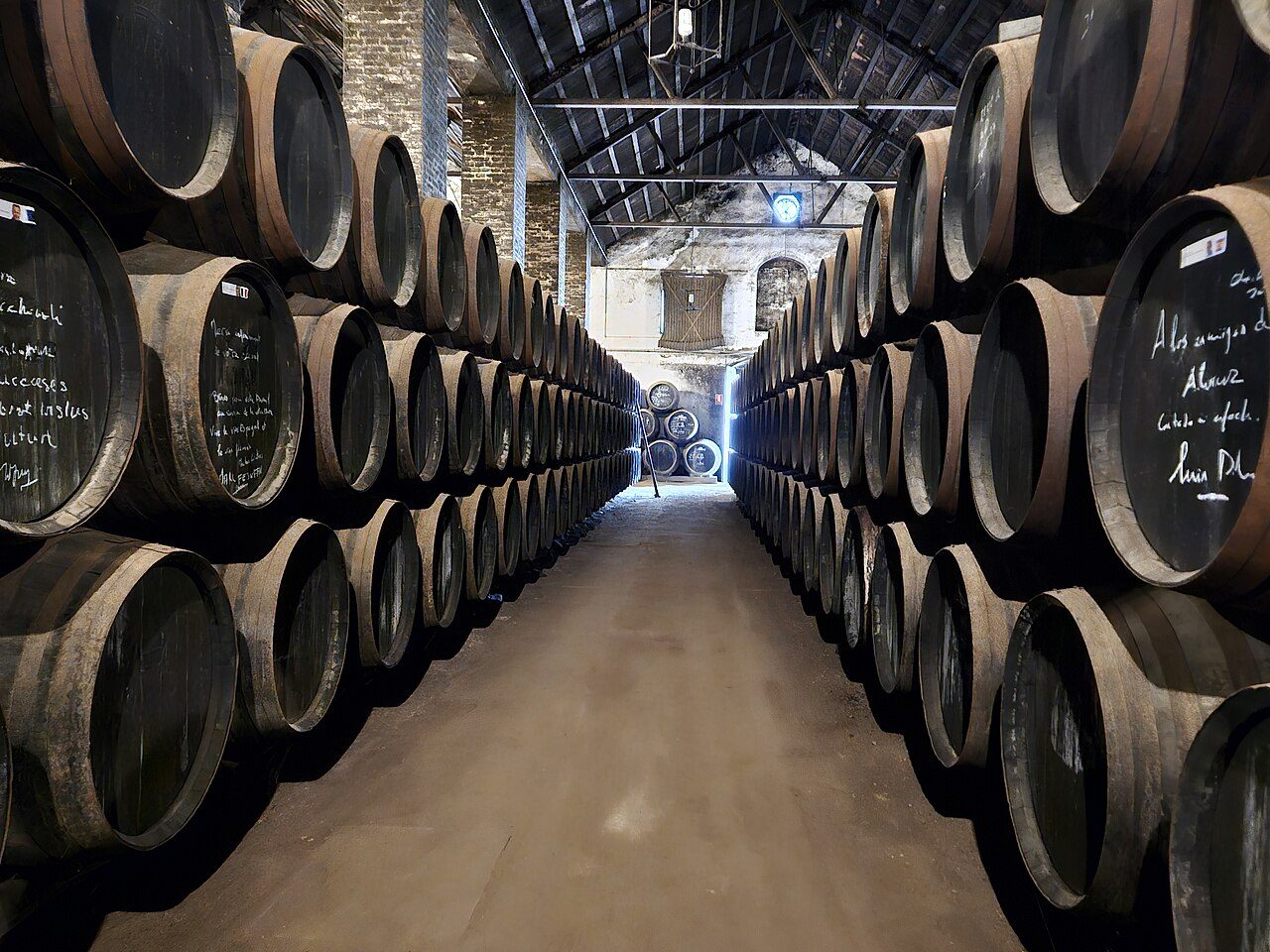 Bodega centenaria en una visita guiada en Montilla, corazón del Montilla-Moriles