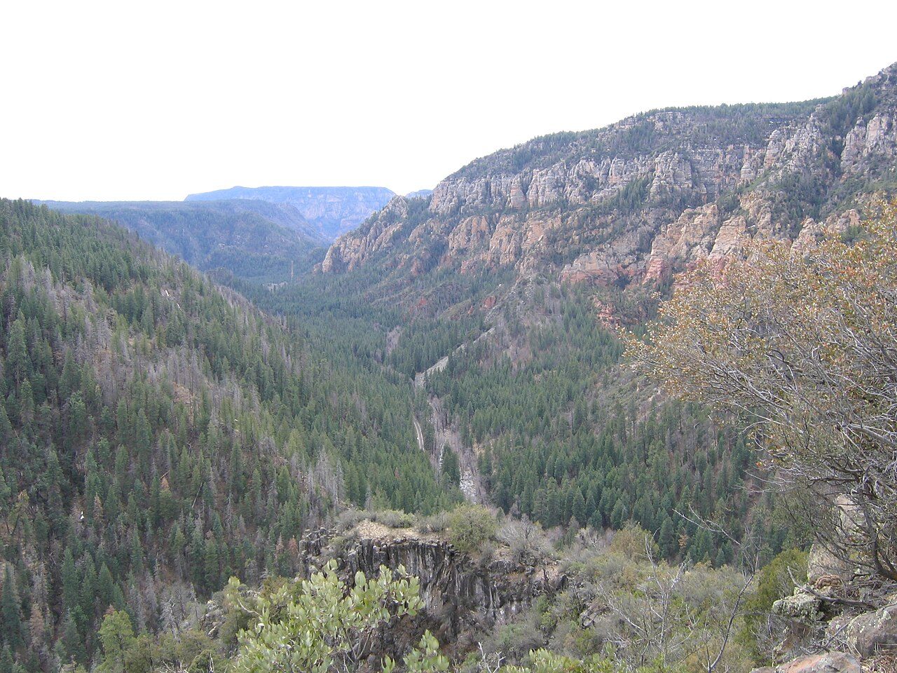 Oak Creek Canyon, una escapada natural cerca de Sedona