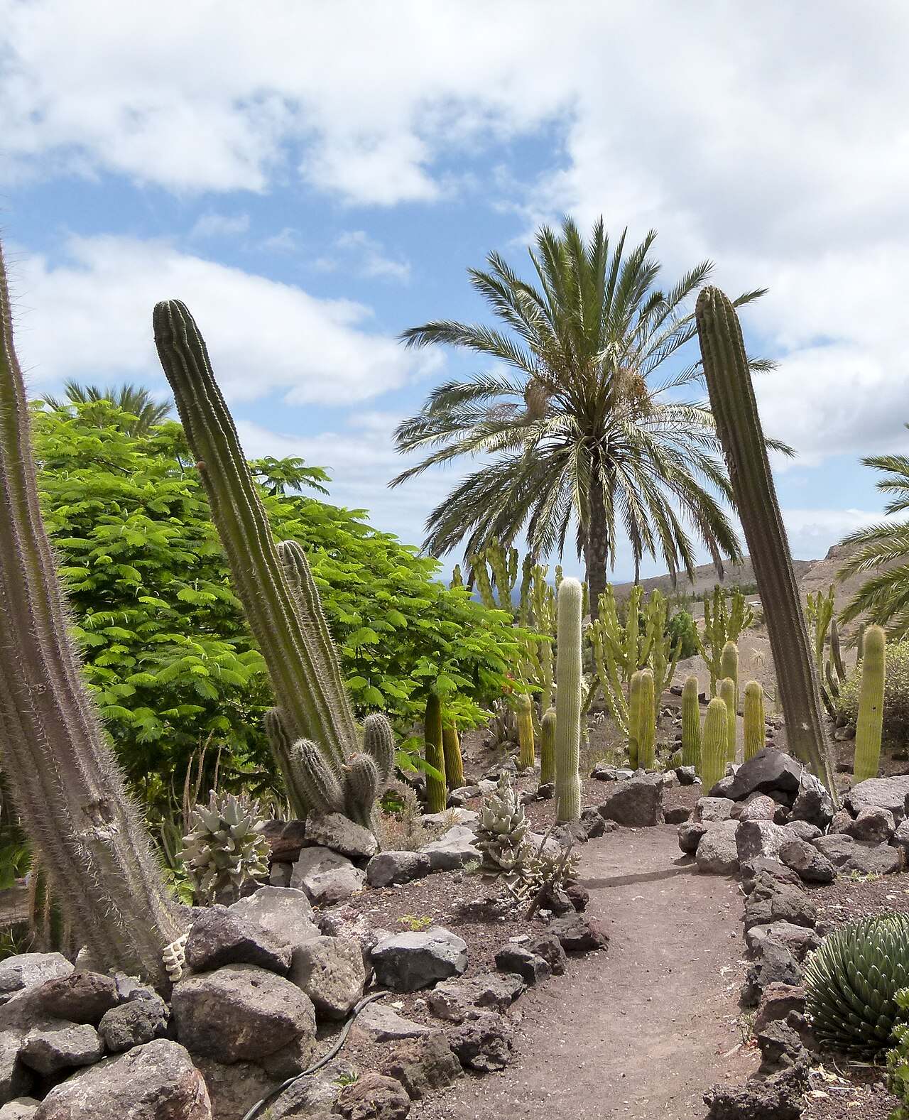 El Oasis Park, la visita más popular que hacer cerca de La Lajita