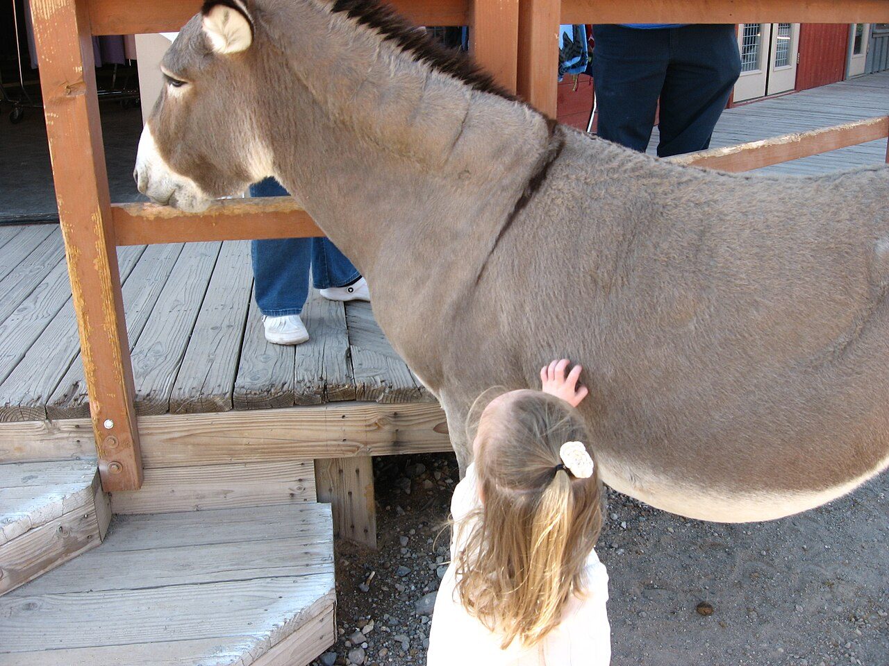 Oatman, el pueblo del Lejano Oeste que se visita como excursión desde Kingman.