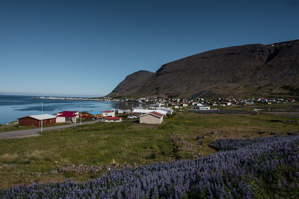 Vista del pueblo de Patreksfjördur, base para explorar los Fiordos del Oeste