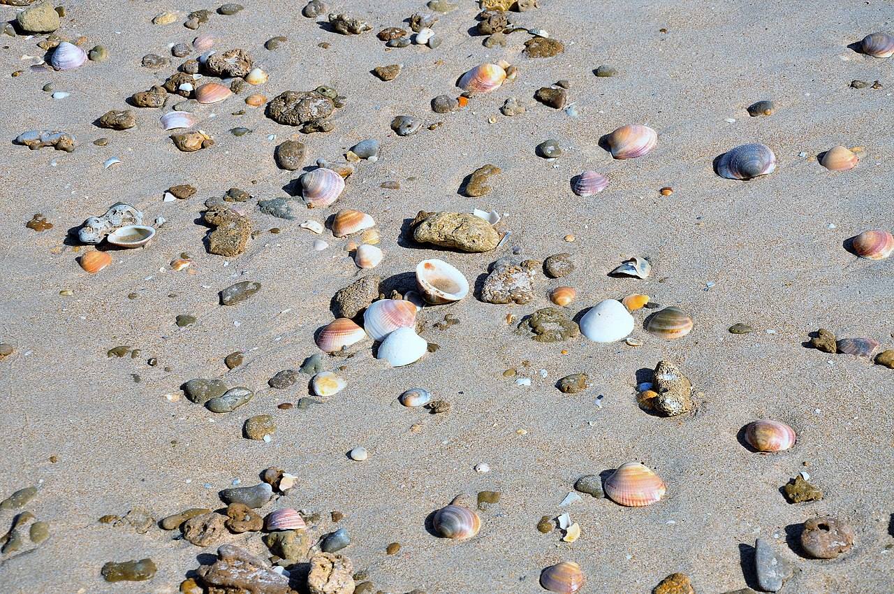 La Playa de la Barrosa, una de las mejores costas para ver en Sancti Petri y Chiclana