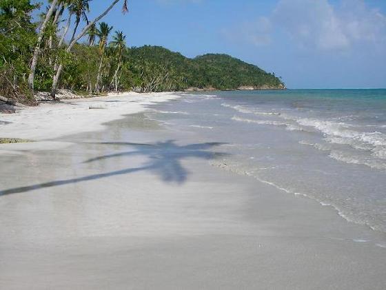 Naturaleza y aventura en Providencia: snorkel en el mar de los siete colores