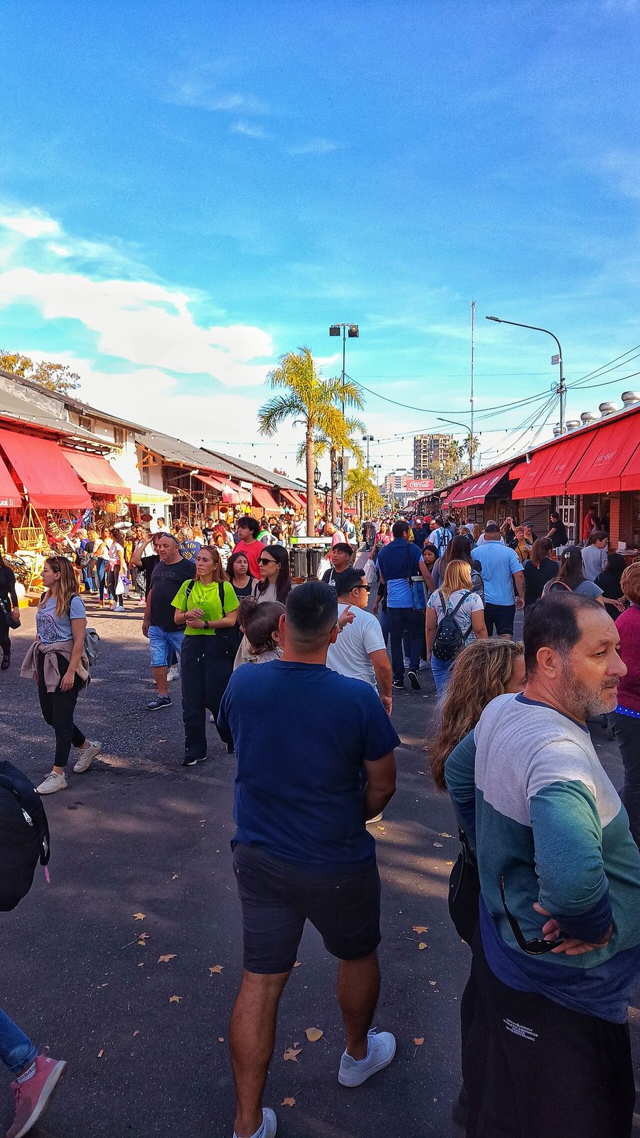 El Puerto de Frutos, parada esencial en tu visita a Tigre