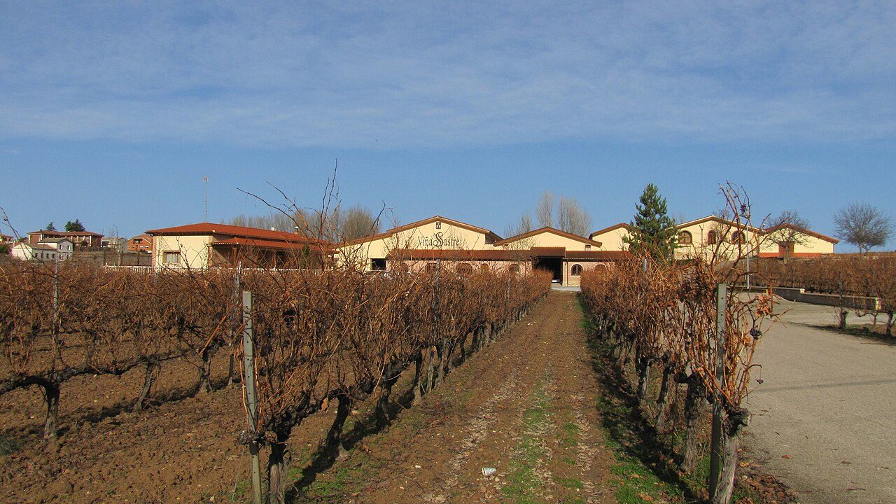 Los viñedos de la Ribera del Duero, punto de partida de la ruta.