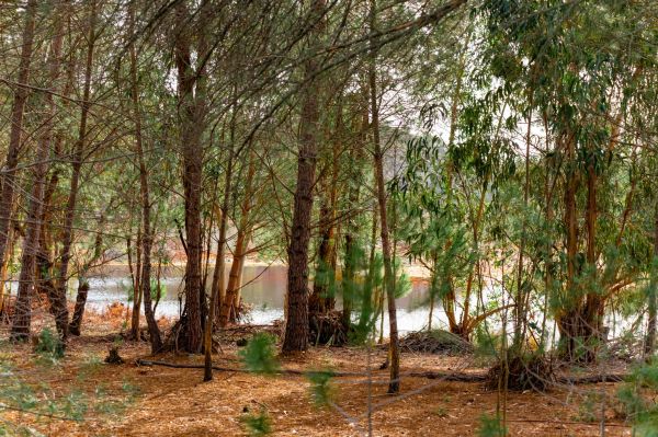 Excursiones desde Niebla: el río Tinto y sus aguas rojizas